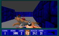 une photo d'Ã©cran de Wolfenstein 3D (PC) sur PC